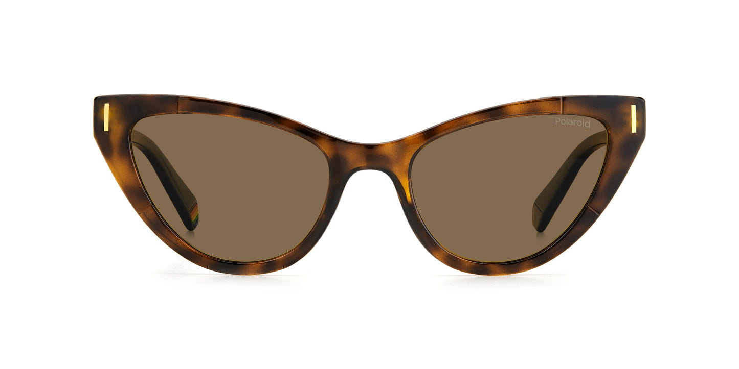 Lentes de Sol Polaroid PLD6174/S Havana