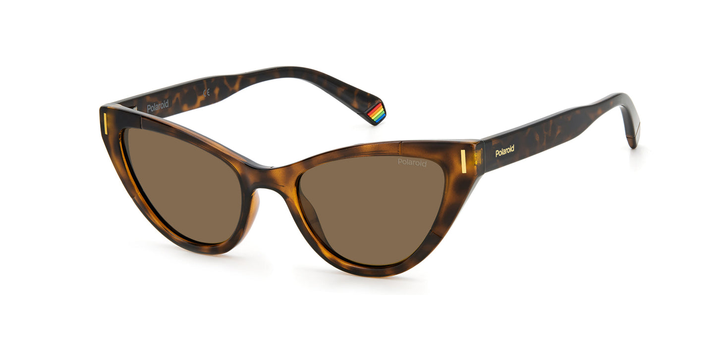Lentes de Sol Polaroid PLD6174/S Havana