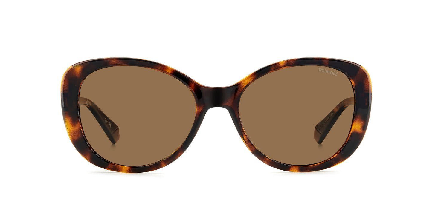 Lentes de Sol Polaroid PLD4154/S/X Havana