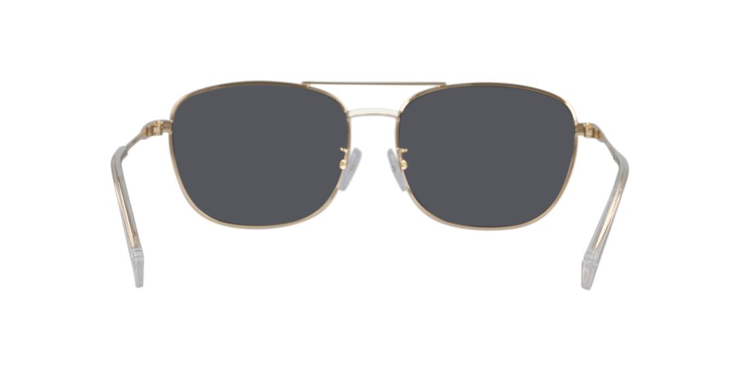 Lentes de Sol Polaroid PLD4172/G/S/X Dorado
