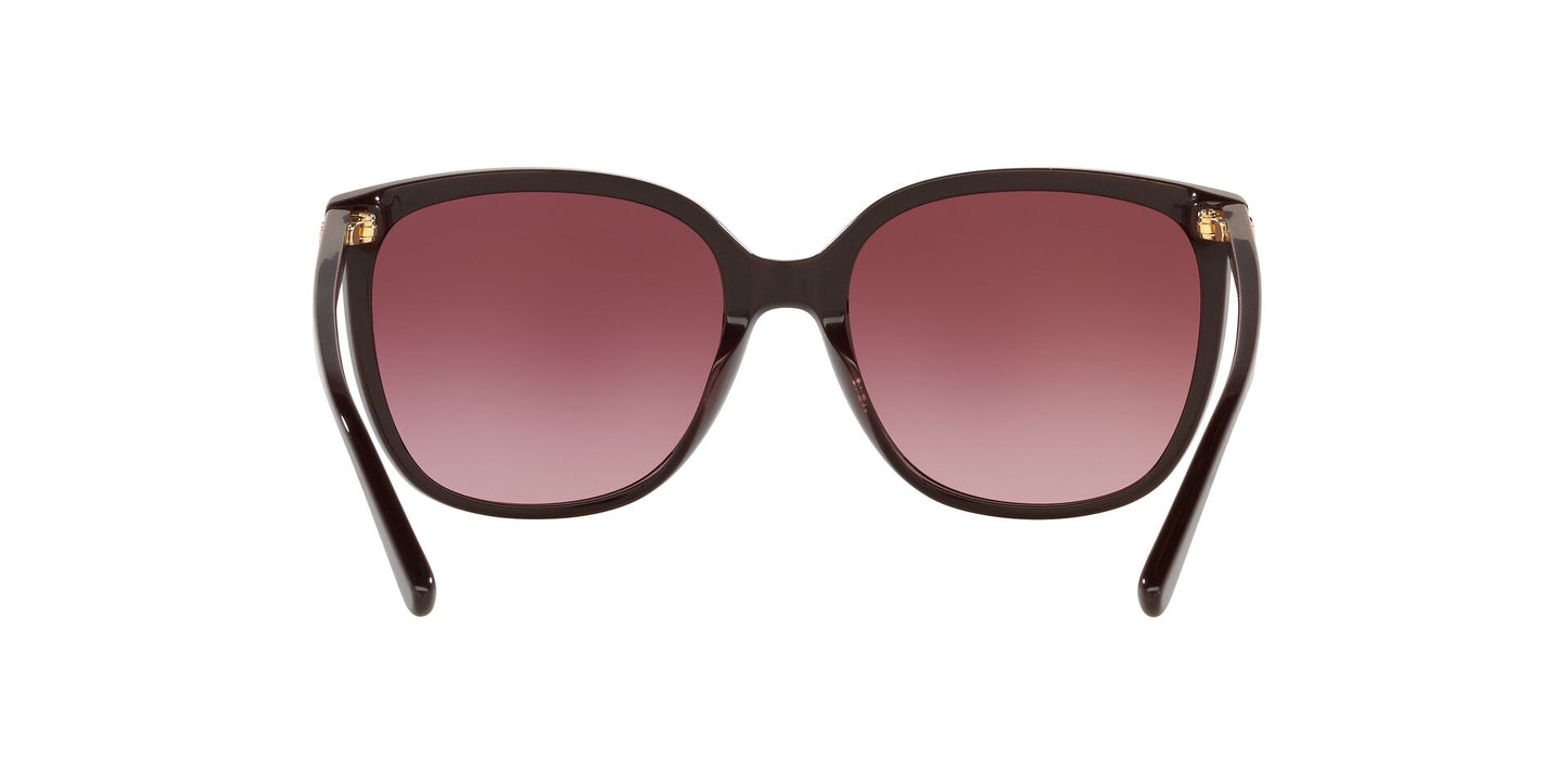 Lentes de Sol Michael Kors MK2137U Vino