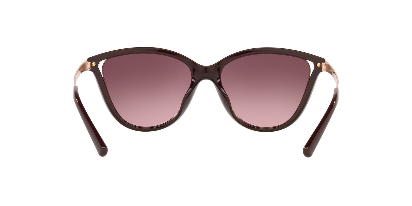 Lentes de Sol Michael Kors MK2139U Vino