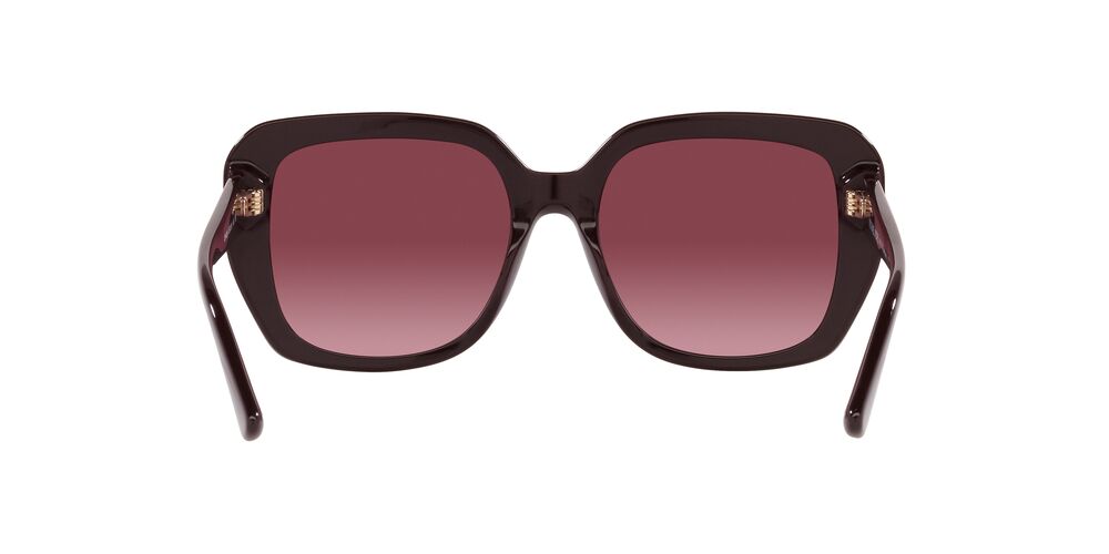 Lentes de Sol Michael Kors MK2140 Vino