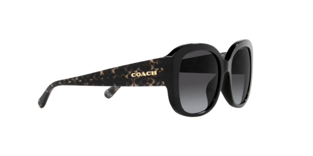 Lentes de Sol Coach 0HC8363U Negro