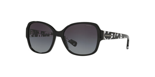 Lentes de Sol Coach 0HC8166 Negro