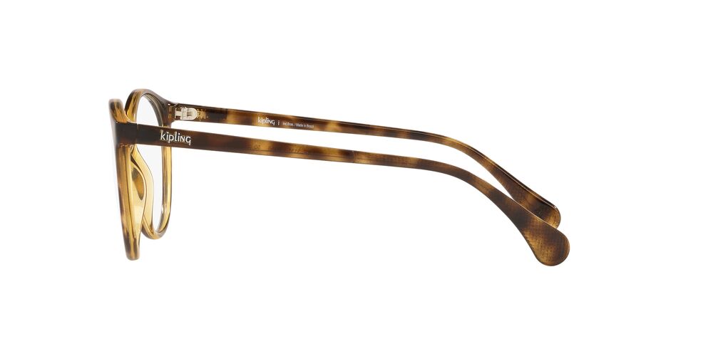 Lente Oftálmico Kipling KP3131 Havana