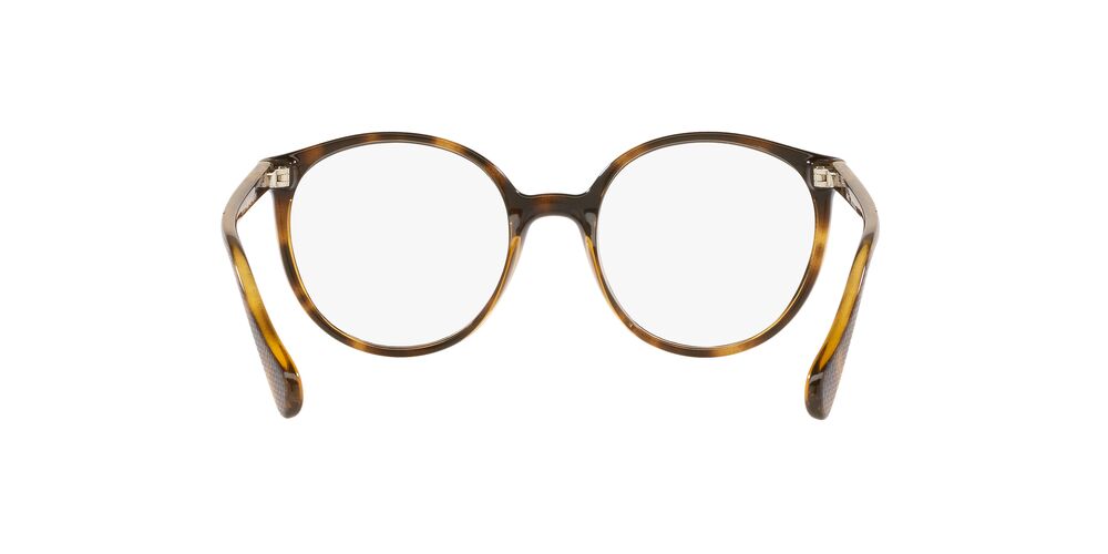 Lente Oftálmico Kipling KP3131 Havana