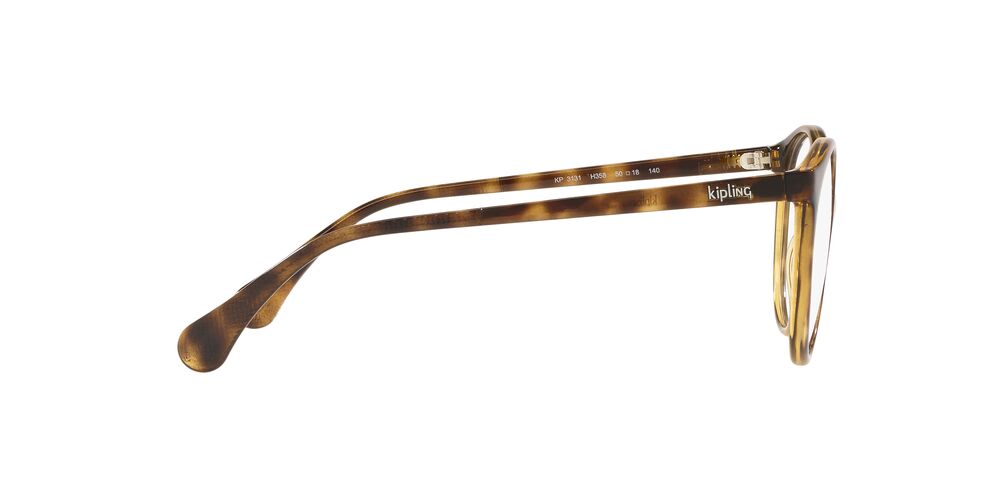 Lente Oftálmico Kipling KP3131 Havana