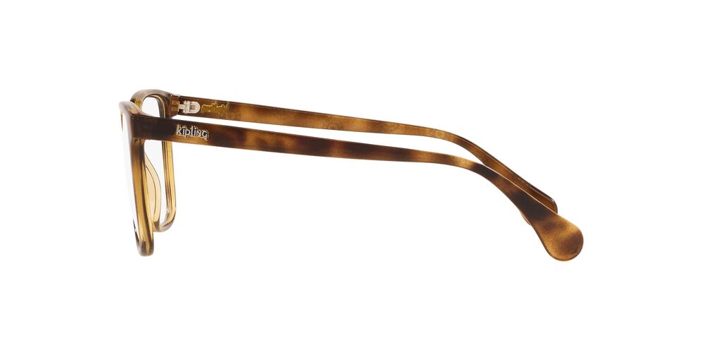 Lente Oftálmico Kipling KP3137 Havana
