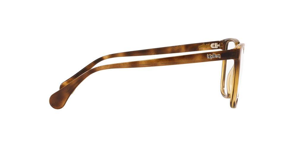 Lente Oftálmico Kipling KP3137 Havana
