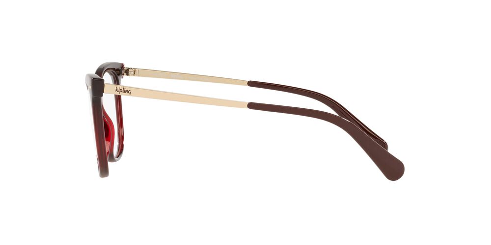 Lente Oftálmico Kipling KP3144 Vino
