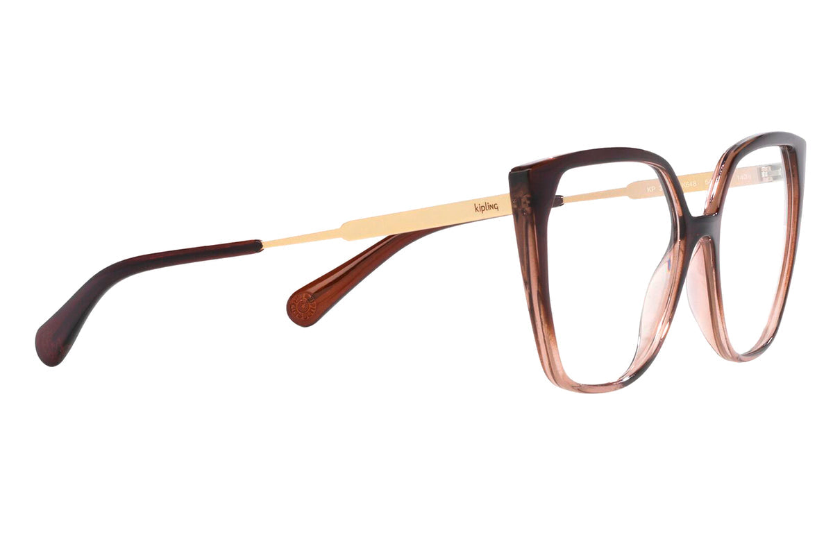Lente Oftálmico Kipling KP3161 Café