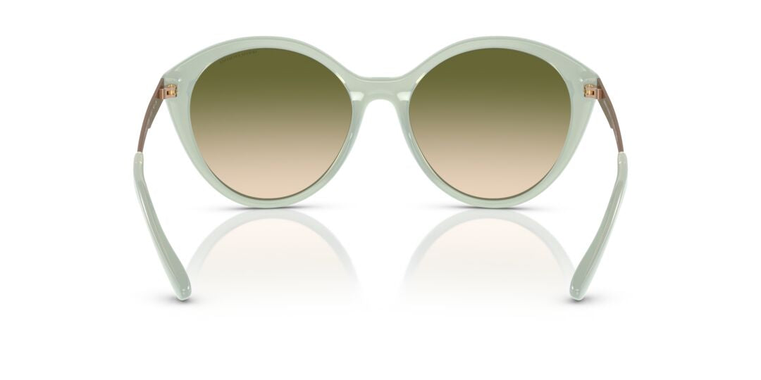 Lentes de Sol Armani Exchange AX4134S Verde
