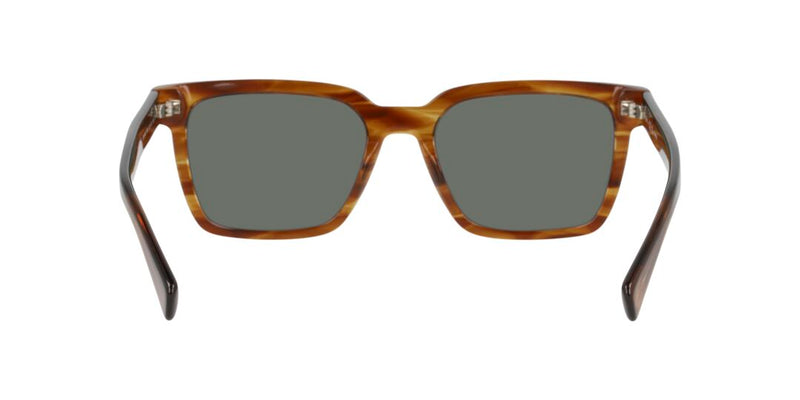 Lentes de Sol D By D DB4048 Havana