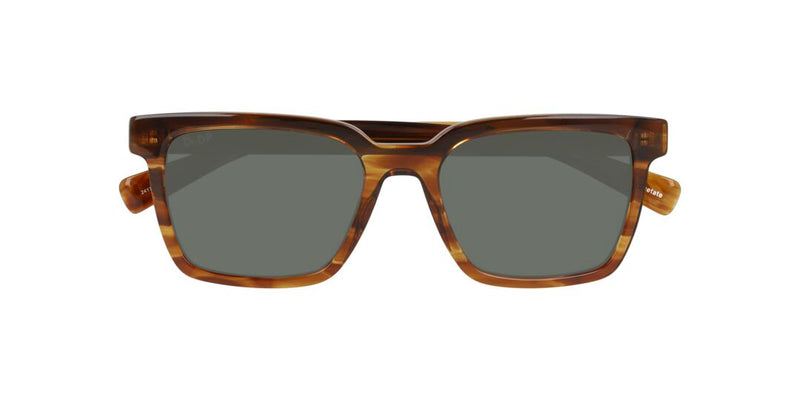 Lentes de Sol D By D DB4048 Havana