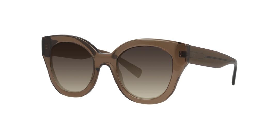 Lentes de Sol D By D DB4049 Café