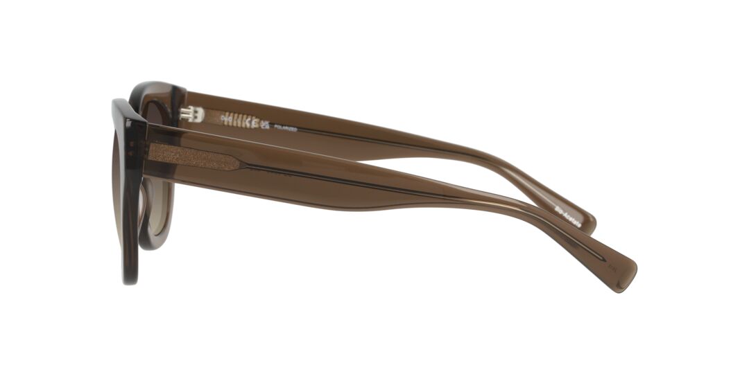 Lentes de Sol D By D DB4049 Café