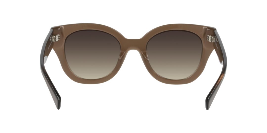 Lentes de Sol D By D DB4049 Café