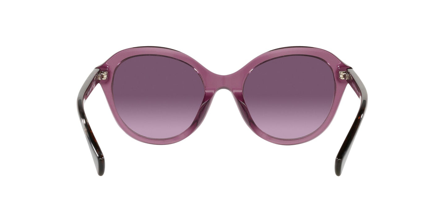 Lentes de Sol Ralph Lauren RA5286U Morado