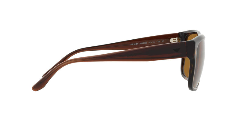 Lentes de Sol Emporio Armani EA4197 Havana