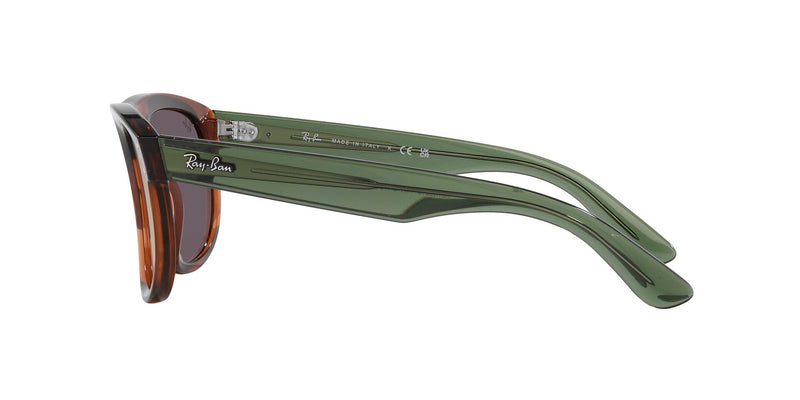 Lentes de Sol Ray Ban RBR0501S Café