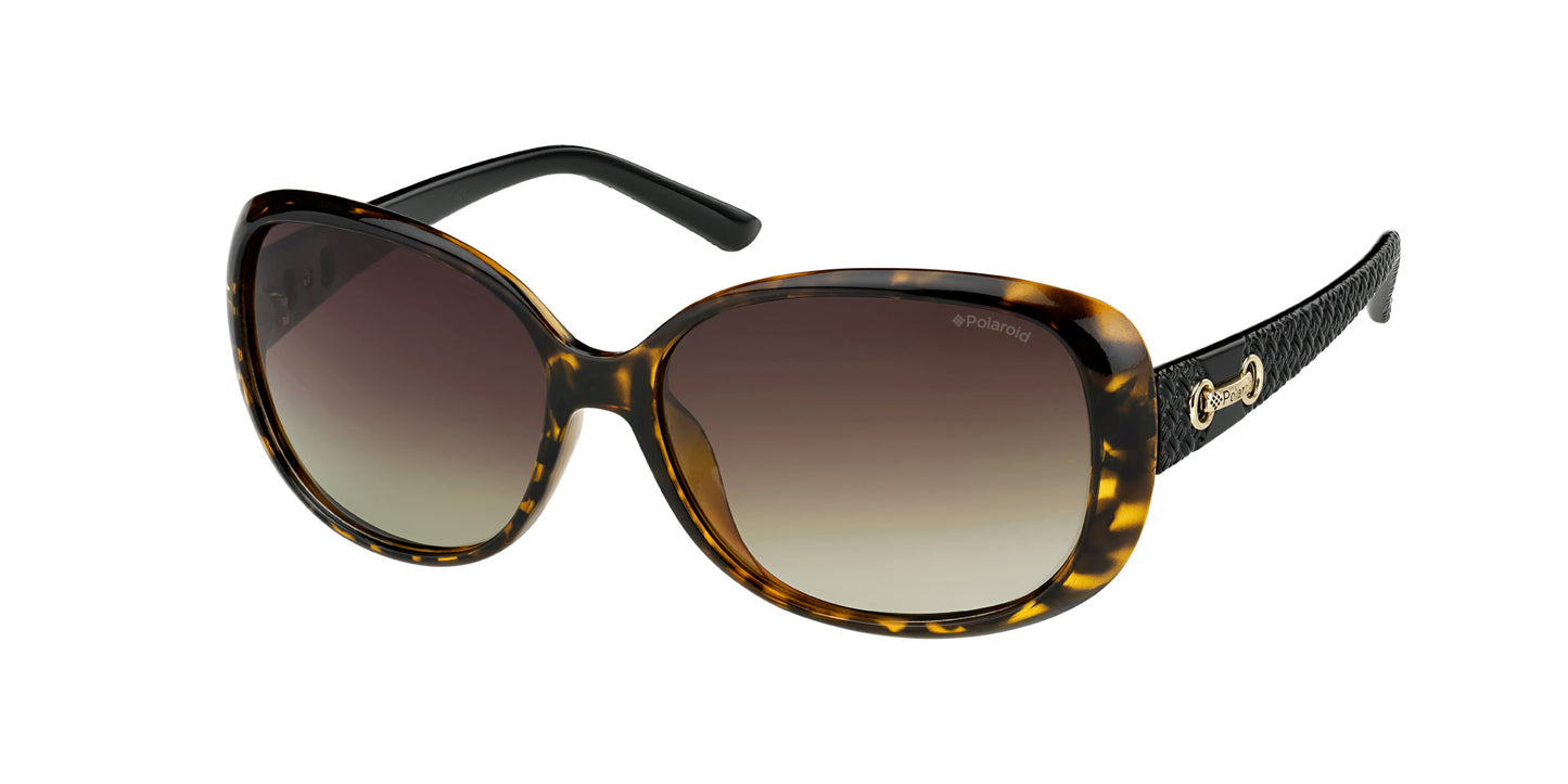 Lentes de Sol Polaroid P8430 Havana