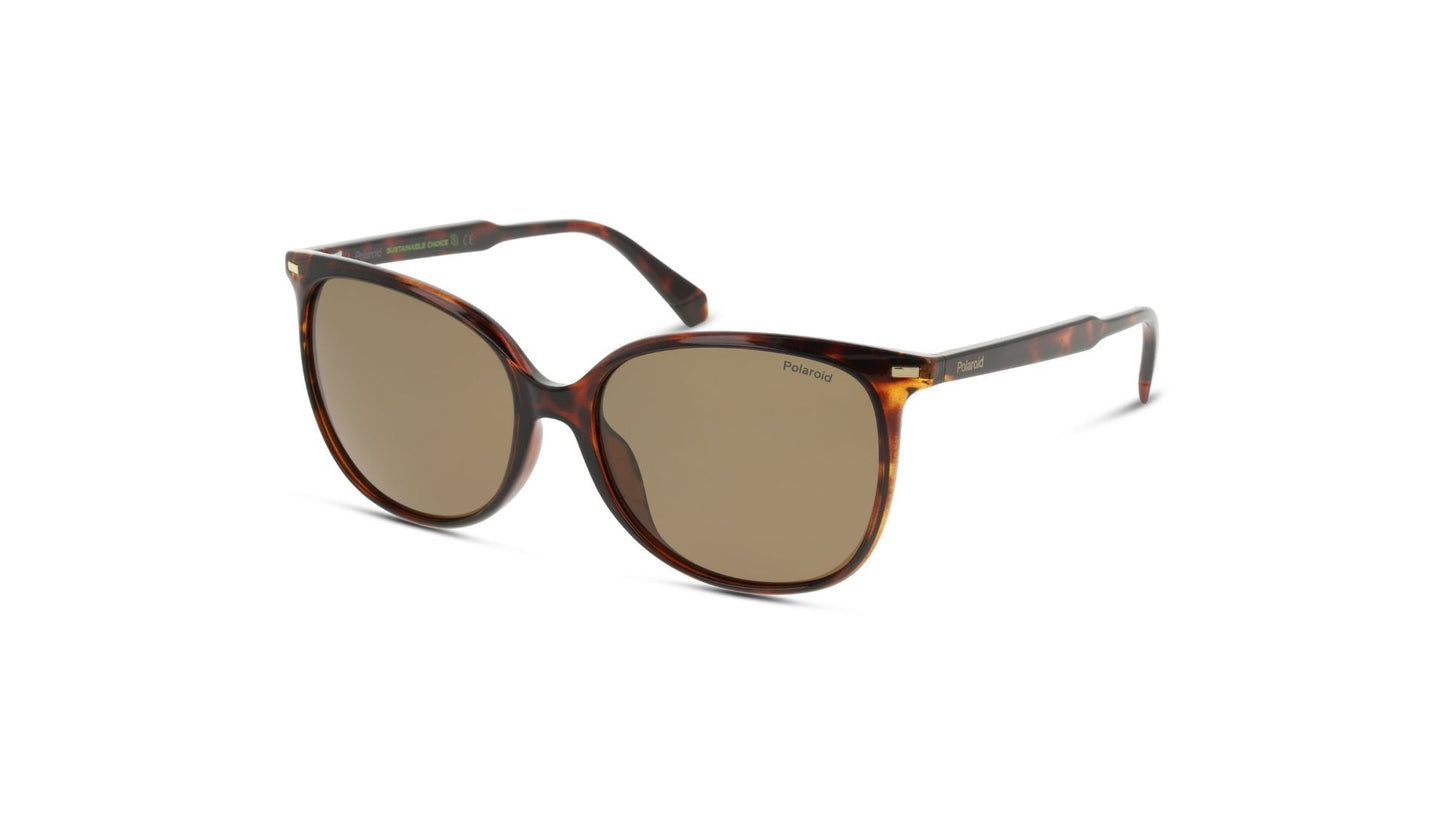 Lentes de Sol Polaroid PLD4125/G/S Havana