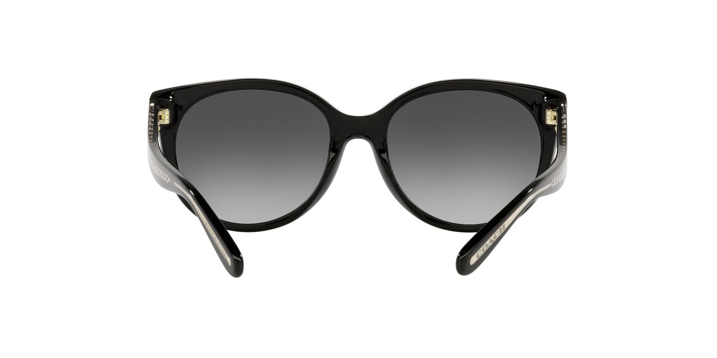 Lentes de Sol Coach Negro HC8321