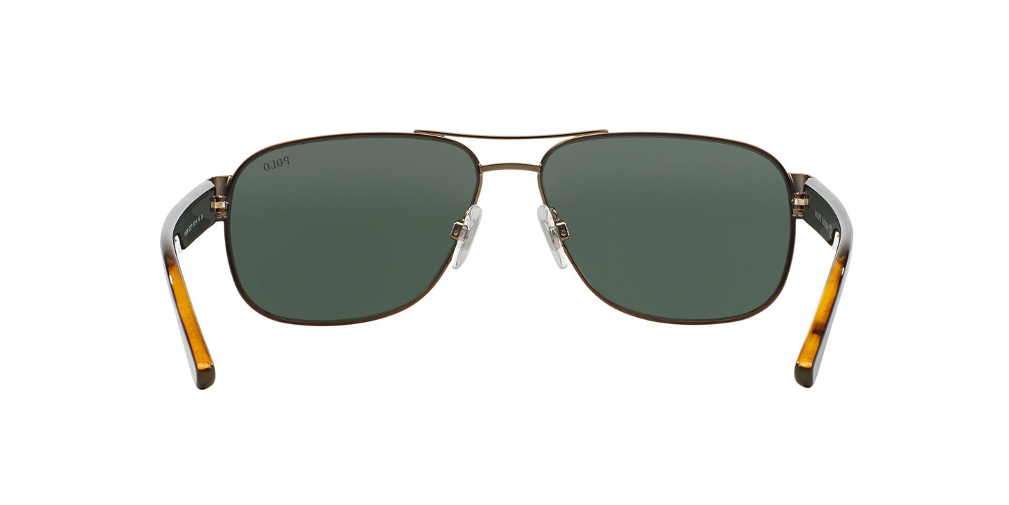 Solar Graduado Polo Ralph PH3089G Café