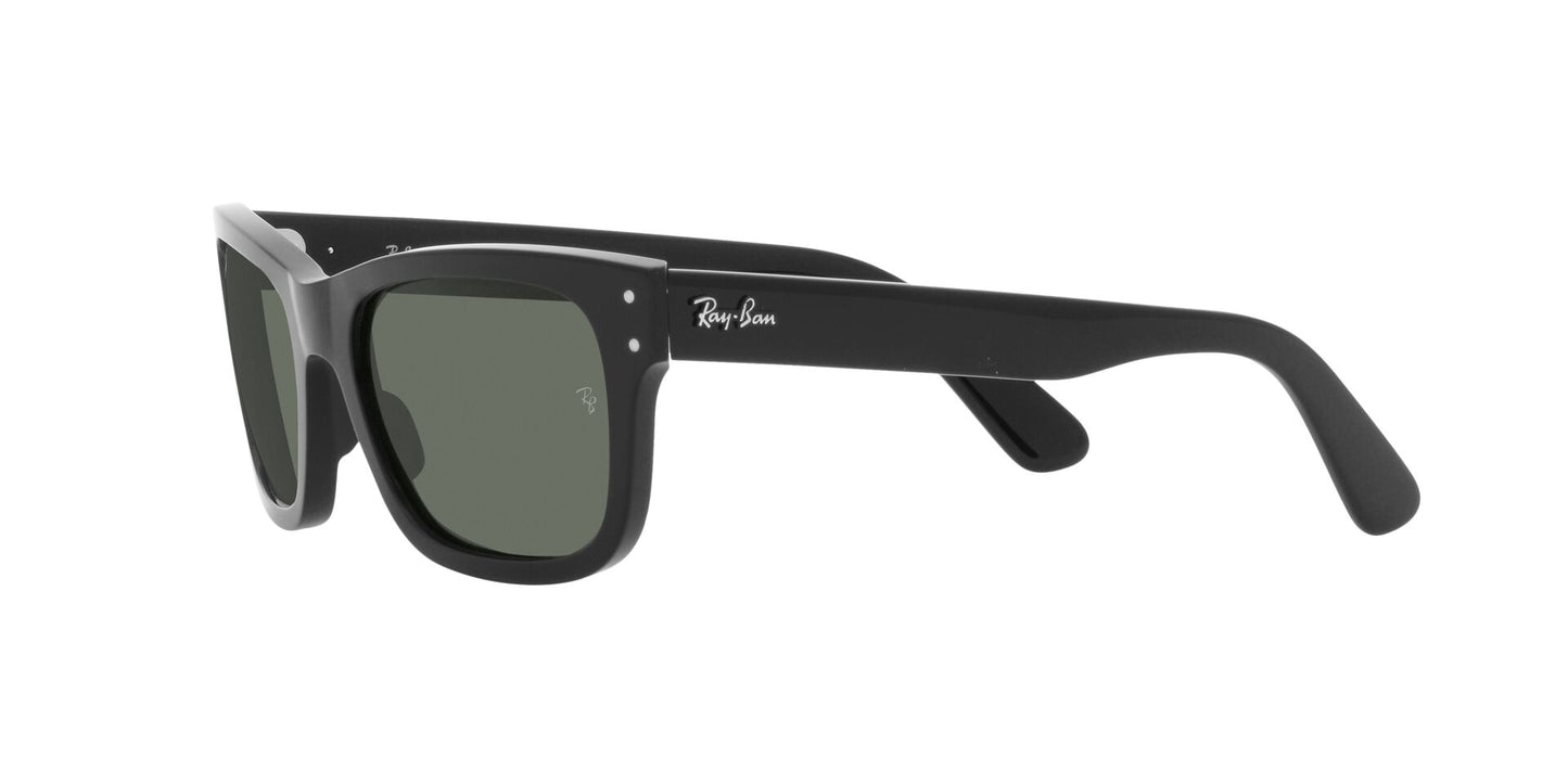 Lentes de Sol Ray Ban RB2283 Negro