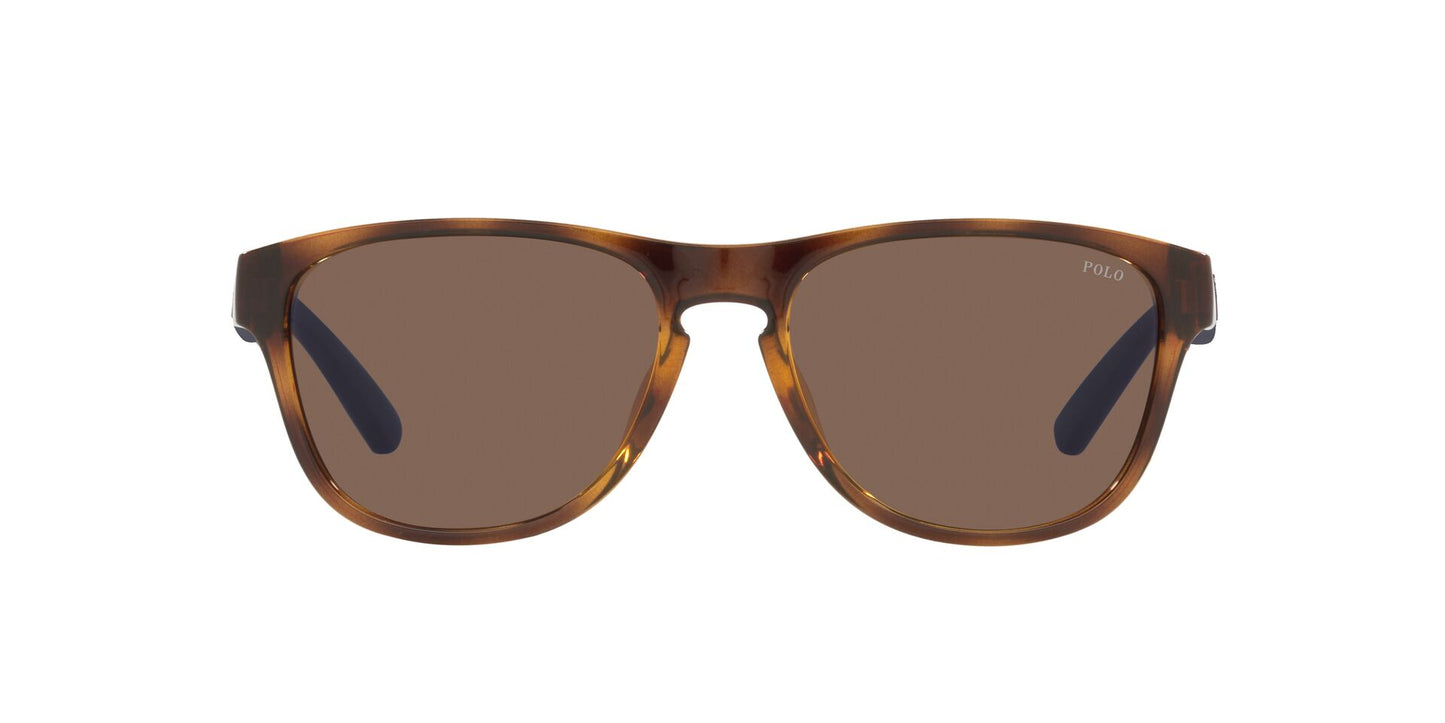 Lentes de Sol Polo Ralph PH4180U Havana