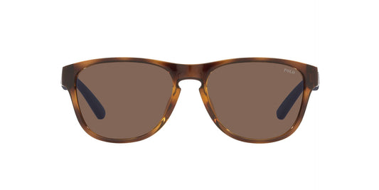 Lentes de Sol Polo Ralph PH4180U Havana