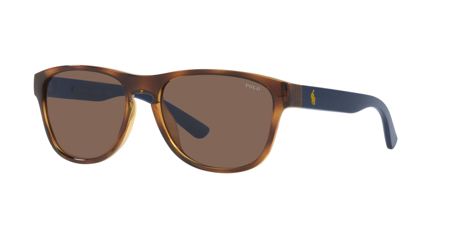 Lentes de Sol Polo Ralph PH4180U Havana