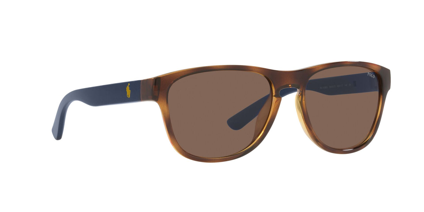 Lentes de Sol Polo Ralph PH4180U Havana
