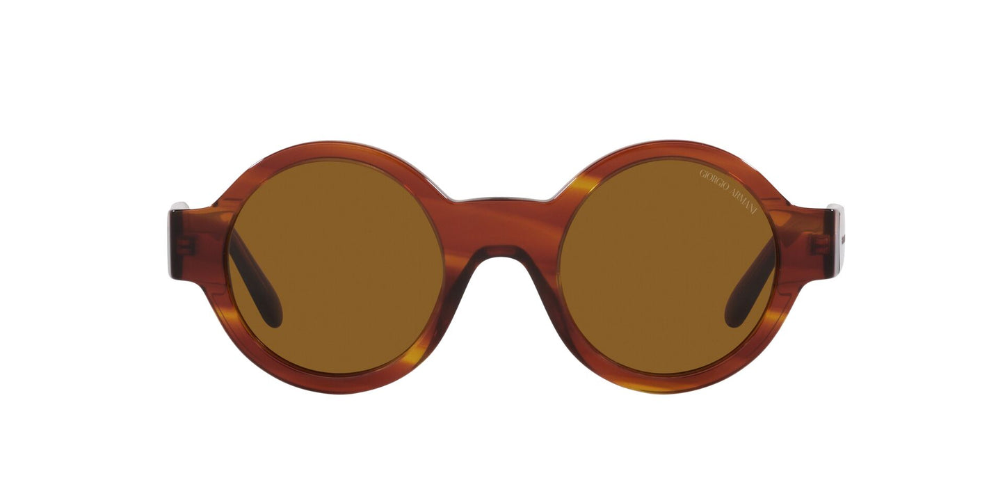 Lentes de Sol Giorgio Armani AR903M Havana