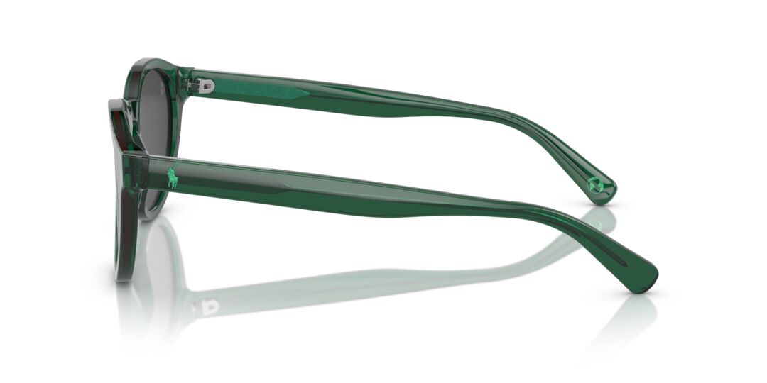 Lentes de Sol Polo Ralph PH4192 Verde