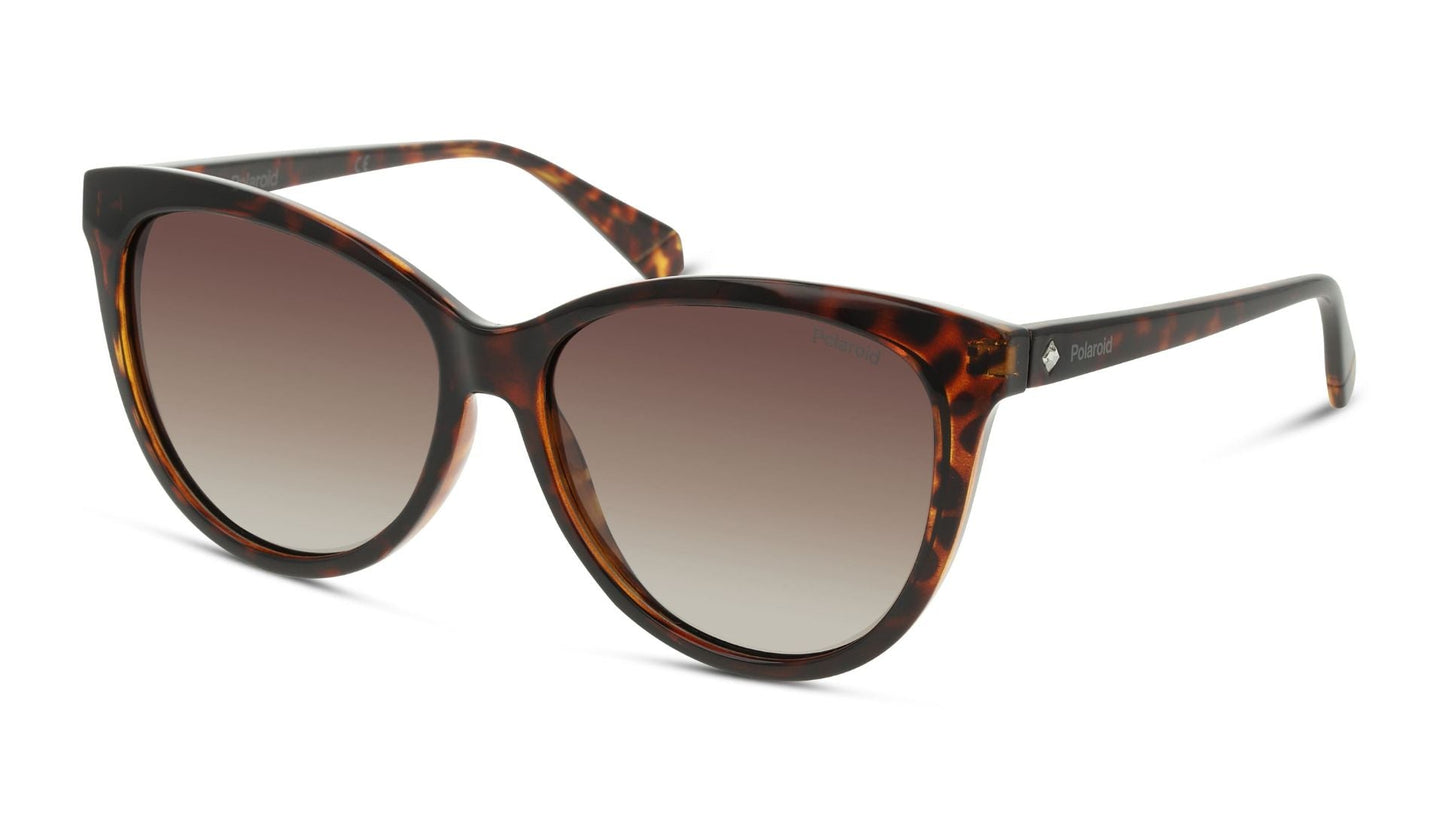 Lentes de Sol Polaroid PLD6104/S/X Havana