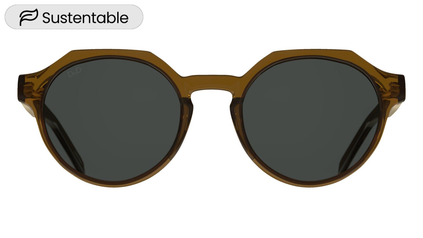 Lentes de Sol D By D DBSU5003 Havana