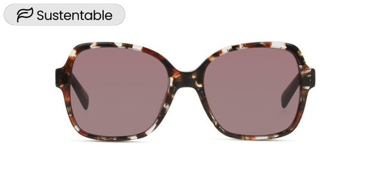 Lentes de Sol D By D DBSF5008 Havana