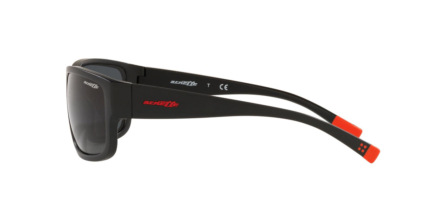 Lentes de Sol Arnette Negro AN4256