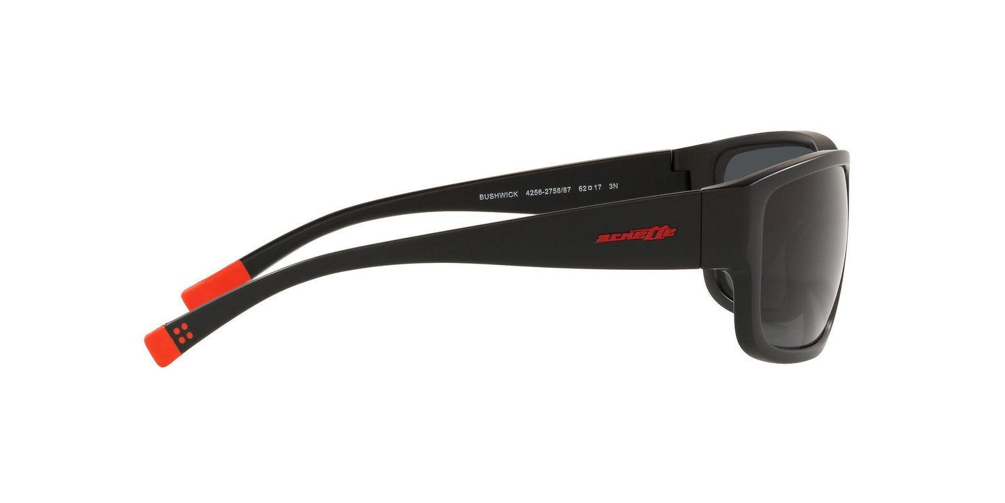 Lentes de Sol Arnette Negro AN4256