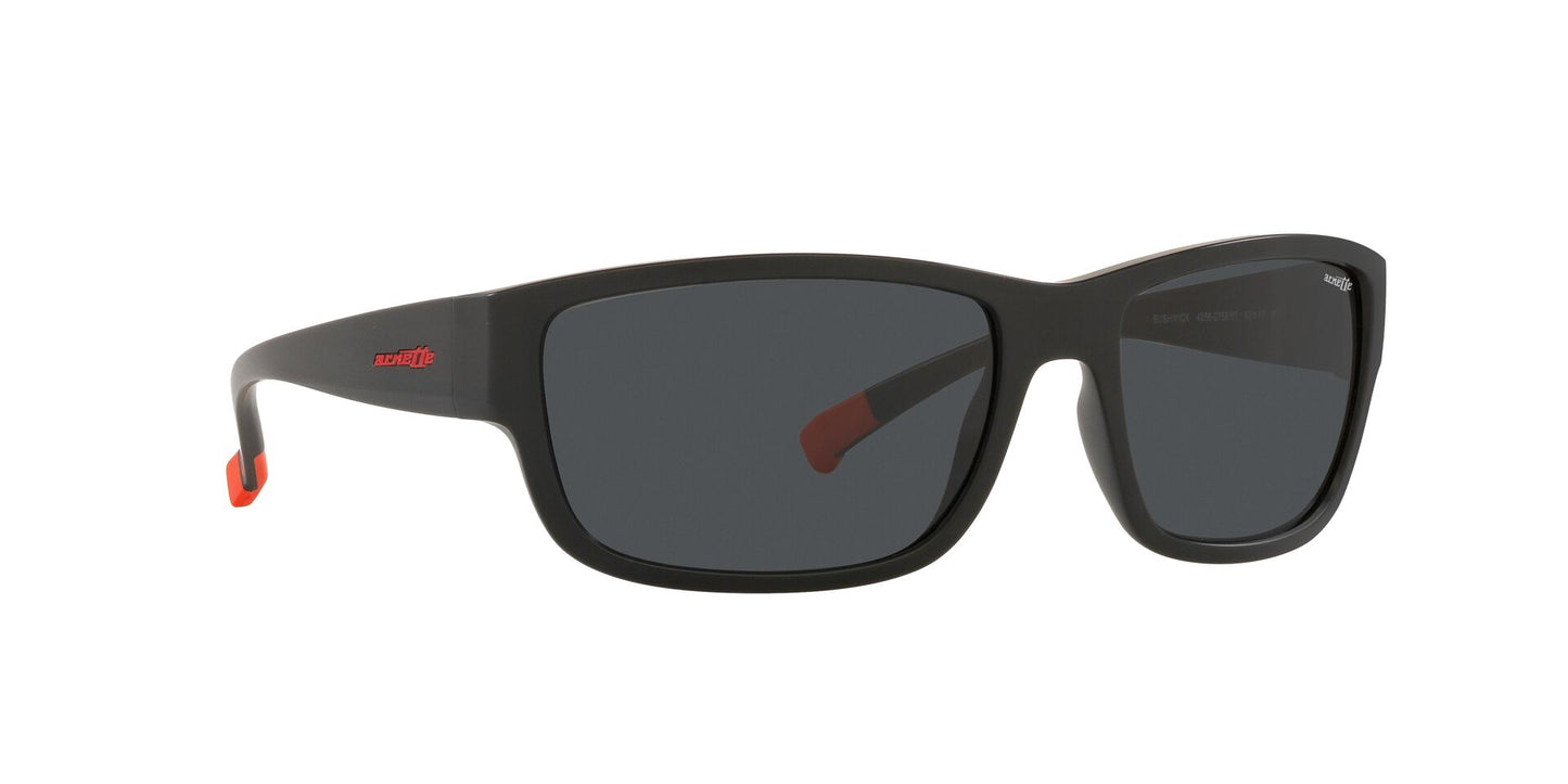 Lentes de Sol Arnette Negro AN4256