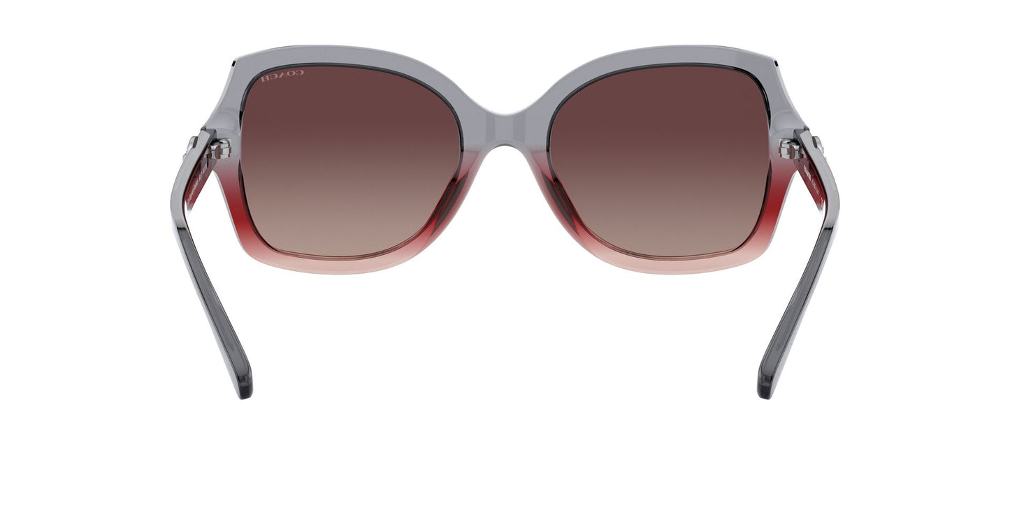 Lentes de Sol Coach HC8295 Gris-Más Visión México