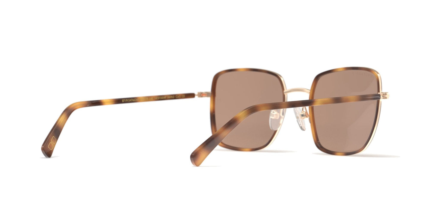Lentes de Sol Heritage HESF5004P Havana-Más Visión México