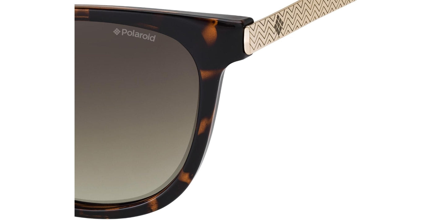 Lentes de Sol Polaroid PL5015S Havana-Más Visión México