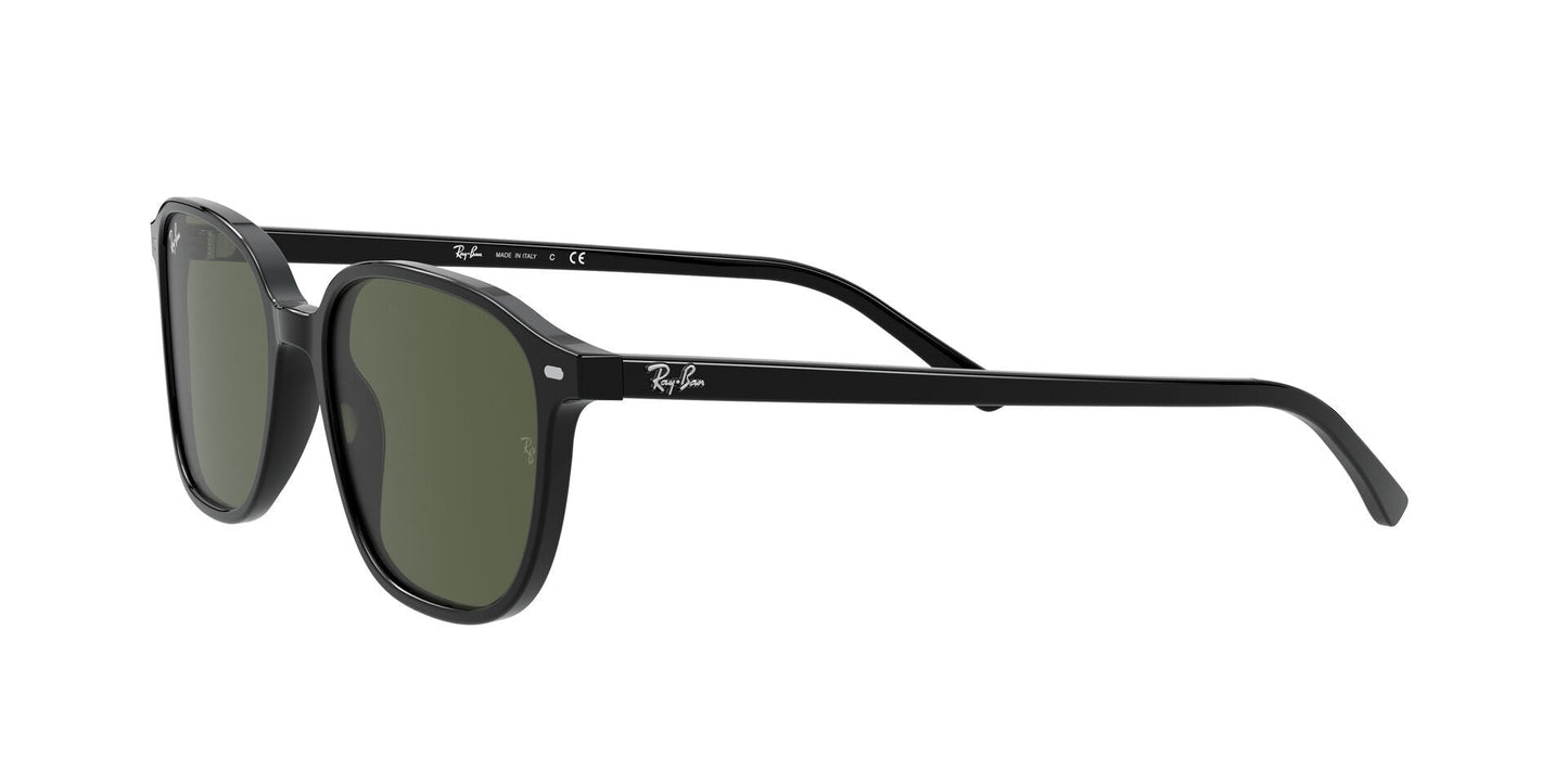 Lentes de Sol Ray Ban RB2193 Negro-Más Visión México