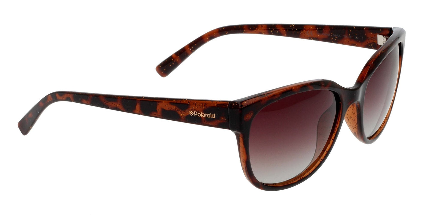 Solar Graduado Polaroid PL4030S Havana-Más Visión México