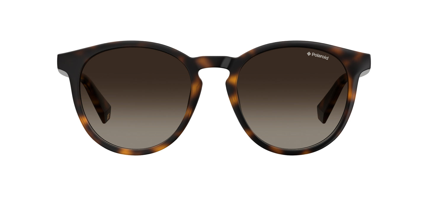 Lentes de Sol Polaroid PLD6098/S Havana