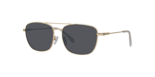 Lentes de Sol Polaroid PLD4172/G/S/X Dorado
