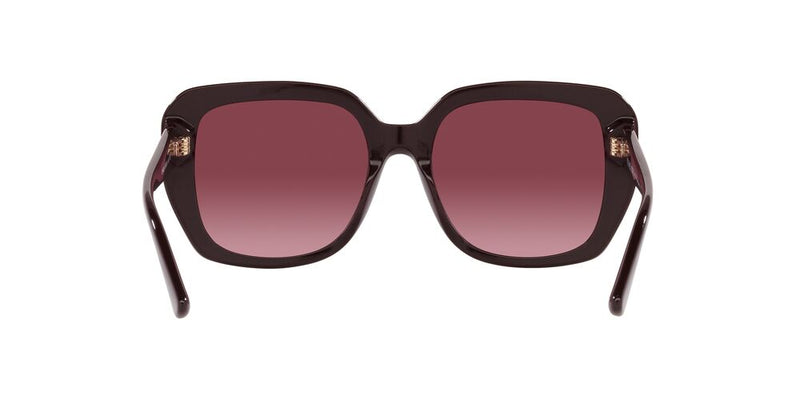 Lentes de Sol Michael Kors MK2140 Vino